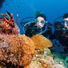 Lặn bình khí tại Phú Quốc – Diving Center